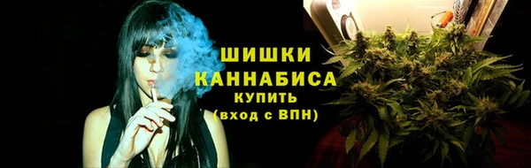 соль курить ск Белокуриха